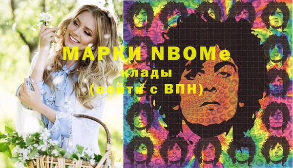 мдпв Заполярный